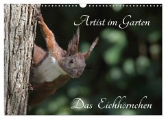 Artist im Garten. Das Eichhörnchen (Wandkalender 2025 DIN A3 quer), CALVENDO Monatskalender