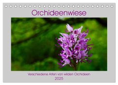 Orchideenwiese 2025 (Tischkalender 2025 DIN A5 quer), CALVENDO Monatskalender - Calvendo;Sura, Jana