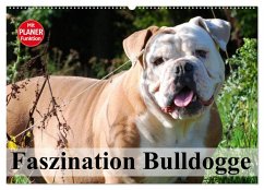 Faszination Bulldogge (Wandkalender 2025 DIN A2 quer), CALVENDO Monatskalender - Calvendo;Stanzer, Elisabeth