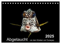 Abgetaucht - an den Küsten vor Curaçao (Tischkalender 2025 DIN A5 quer), CALVENDO Monatskalender