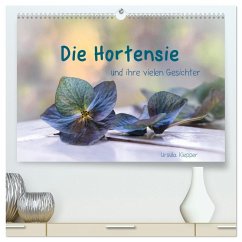 Die Hortensie und ihre vielen Gesichter (hochwertiger Premium Wandkalender 2025 DIN A2 quer), Kunstdruck in Hochglanz - Calvendo;Klepper, Ursula