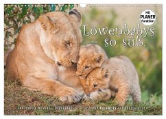 Emotionale Momente: Löwenbabys - so süß. (Wandkalender 2025 DIN A3 quer), CALVENDO Monatskalender