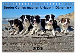 Border Collies machen Urlaub in Dänemark (Tischkalender 2025 DIN A5 quer), CALVENDO Monatskalender - Calvendo;Busch, Eva