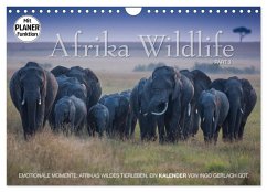 Emotionale Momente: Afrika Wildlife. Part 3. (Wandkalender 2025 DIN A4 quer), CALVENDO Monatskalender