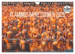 Flamingo Impressionen 2025 (Wandkalender 2025 DIN A4 quer), CALVENDO Monatskalender - Calvendo;Gerlach, Ingo