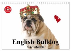 English Bulldog XXL Models (Wandkalender 2025 DIN A4 quer), CALVENDO Monatskalender