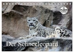 Der Schneeleopard (Tischkalender 2025 DIN A5 quer), CALVENDO Monatskalender