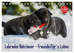 Labrador Retriever - Freunde für´s Leben (Tischkalender 2025 DIN A5 quer), CALVENDO Monatskalender - Calvendo;Starick, Sigrid