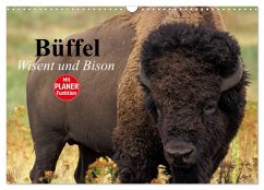 Büffel. Wisent und Bison (Wandkalender 2025 DIN A3 quer), CALVENDO Monatskalender