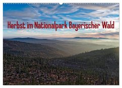 Herbst im Nationalpark Bayerischer Wald (Wandkalender 2025 DIN A2 quer), CALVENDO Monatskalender