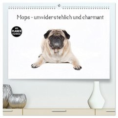 Mops - unwiderstehlich und charmant (hochwertiger Premium Wandkalender 2025 DIN A2 quer), Kunstdruck in Hochglanz - Calvendo;Verena Scholze, Fotodesign