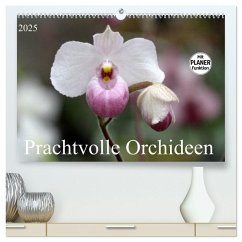 Prachtvolle Orchideen (hochwertiger Premium Wandkalender 2025 DIN A2 quer), Kunstdruck in Hochglanz