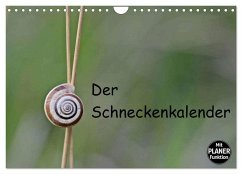 Der Schneckenkalender (Wandkalender 2025 DIN A4 quer), CALVENDO Monatskalender - Calvendo;Schmutzler-Schaub, Christine
