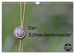 Der Schneckenkalender (Wandkalender 2025 DIN A4 quer), CALVENDO Monatskalender