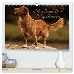 Nova Scotia Duck Tolling Retriever (hochwertiger Premium Wandkalender 2025 DIN A2 quer), Kunstdruck in Hochglanz - Calvendo;Müller Hundefotowerk, Beatrice