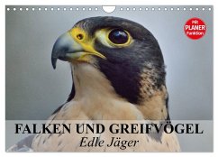 Falken und Greifvögel - Edle Jäger (Wandkalender 2025 DIN A4 quer), CALVENDO Monatskalender