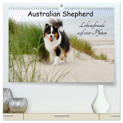 Australian Shepherd - Lebensfreude auf vier Pfoten (hochwertiger Premium Wandkalender 2025 DIN A2 quer), Kunstdruck in Hochglanz - Calvendo;Nozulak, Miriam