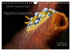 Unterwasserwelt Nacktschnecken (Wandkalender 2025 DIN A4 quer), CALVENDO Monatskalender