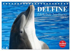 Delfine - Lächelnde Intelligenz (Tischkalender 2025 DIN A5 quer), CALVENDO Monatskalender - Calvendo;Stanzer, Elisabeth
