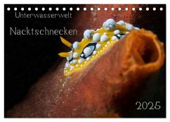 Unterwasserwelt Nacktschnecken (Tischkalender 2025 DIN A5 quer), CALVENDO Monatskalender