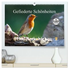 Gefiederte Schönheiten - Das Rotkehlchen / Planer (hochwertiger Premium Wandkalender 2025 DIN A2 quer), Kunstdruck in Hochglanz
