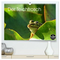 Der Teichfrosch (hochwertiger Premium Wandkalender 2025 DIN A2 quer), Kunstdruck in Hochglanz - Calvendo;Schmutzler-Schaub, Christine