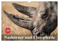 Nashörner und Flusspferde (Wandkalender 2025 DIN A3 quer), CALVENDO Monatskalender