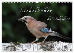 Eichelhäher der Waldpolizist (Wandkalender 2025 DIN A3 quer), CALVENDO Monatskalender - Calvendo;Konieczka, Klaus