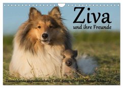 Ziva und ihre Freunde (Wandkalender 2025 DIN A4 quer), CALVENDO Monatskalender