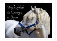 Weiße Pferde der Camargue in Bayern (Wandkalender 2025 DIN A3 quer), CALVENDO Monatskalender