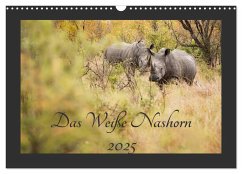 Das Weiße Nashorn (Wandkalender 2025 DIN A3 quer), CALVENDO Monatskalender
