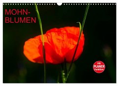Mohnblumen (Wandkalender 2025 DIN A3 quer), CALVENDO Monatskalender