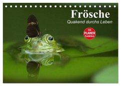 Frösche. Quakend durchs Leben (Tischkalender 2025 DIN A5 quer), CALVENDO Monatskalender