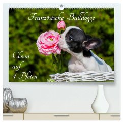 Französische Bulldogge - Clown auf 4 Pfoten (hochwertiger Premium Wandkalender 2025 DIN A2 quer), Kunstdruck in Hochglanz