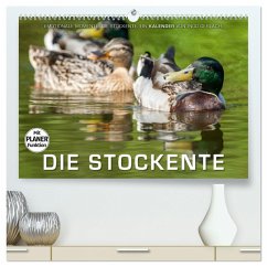 Emotionale Momente: Die Stockente. (hochwertiger Premium Wandkalender 2025 DIN A2 quer), Kunstdruck in Hochglanz