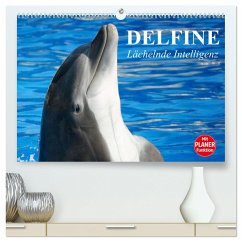 Delfine - Lächelnde Intelligenz (hochwertiger Premium Wandkalender 2025 DIN A2 quer), Kunstdruck in Hochglanz