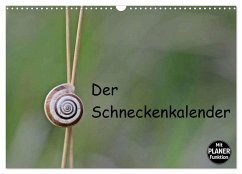 Der Schneckenkalender (Wandkalender 2025 DIN A3 quer), CALVENDO Monatskalender - Calvendo;Schmutzler-Schaub, Christine