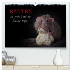 Ratten. Die große Welt der kleinen Nager (hochwertiger Premium Wandkalender 2025 DIN A2 quer), Kunstdruck in Hochglanz - Calvendo;Nilson, Thorsten