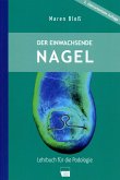 Der eingewachsenen Nagel