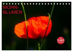 Mohnblumen (Tischkalender 2025 DIN A5 quer), CALVENDO Monatskalender - Calvendo;Jäger, Anette/Thomas