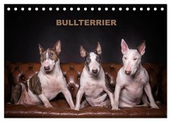 Bullterrier (Tischkalender 2025 DIN A5 quer), CALVENDO Monatskalender