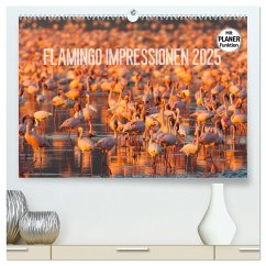Flamingo Impressionen 2025 (hochwertiger Premium Wandkalender 2025 DIN A2 quer), Kunstdruck in Hochglanz