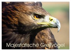 Majestätische Greifvögel (Wandkalender 2025 DIN A2 quer), CALVENDO Monatskalender
