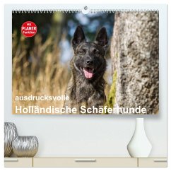 ausdrucksvolle Holländische Schäferhunde (hochwertiger Premium Wandkalender 2025 DIN A2 quer), Kunstdruck in Hochglanz - Calvendo;Verena Scholze, Fotodesign