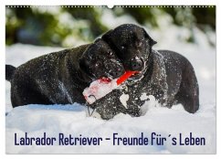Labrador Retriever - Freunde für´s Leben (Wandkalender 2025 DIN A2 quer), CALVENDO Monatskalender