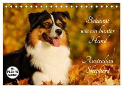 Bekannt wie ein bunter Hund. Australian Shepherd (Tischkalender 2025 DIN A5 quer), CALVENDO Monatskalender - Calvendo;Starick, Sigrid