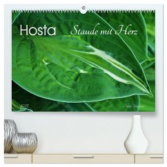 Hosta Staude mit Herz (hochwertiger Premium Wandkalender 2025 DIN A2 quer), Kunstdruck in Hochglanz - Calvendo;Heußlein, Jutta