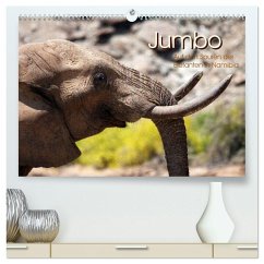 Jumbo Auf den Spuren der Elefanten in Namibia (hochwertiger Premium Wandkalender 2025 DIN A2 quer), Kunstdruck in Hochglanz - Calvendo;Imhof, Walter