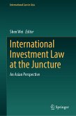 International Investment Law at the Juncture (eBook, PDF)