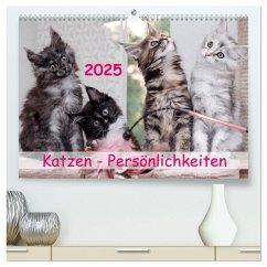 Katzen Persönlichkeiten 2025 (hochwertiger Premium Wandkalender 2025 DIN A2 quer), Kunstdruck in Hochglanz